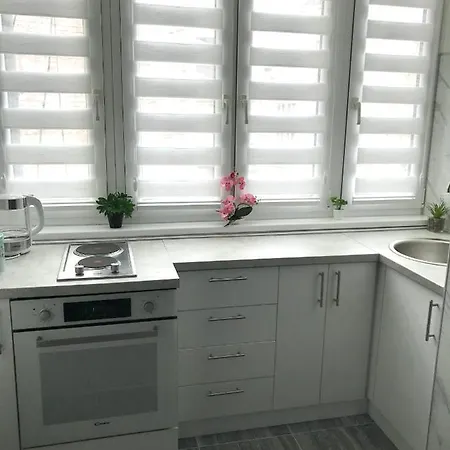 Serenity * بلغراد