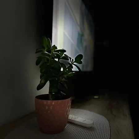 Serenity Apartment Kragujevac